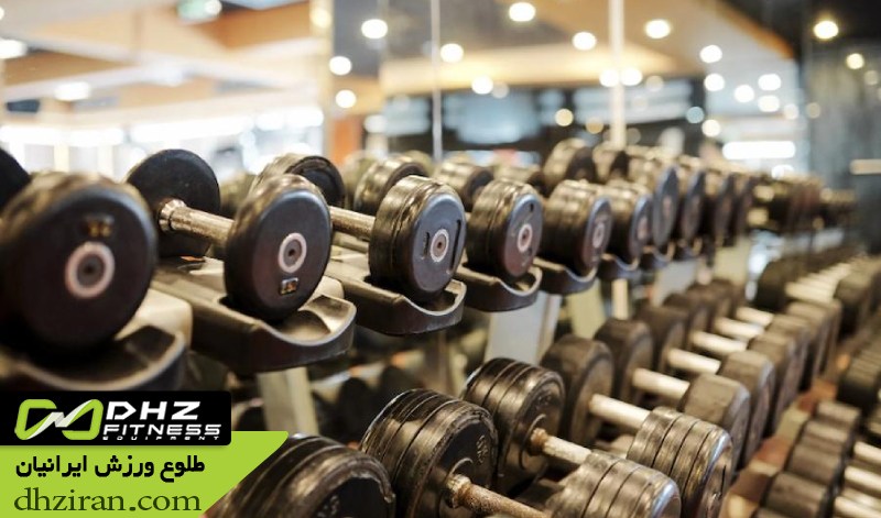 راهنمای انتخاب وزنه مناسب برای مبتدی ها در بدنسازی 